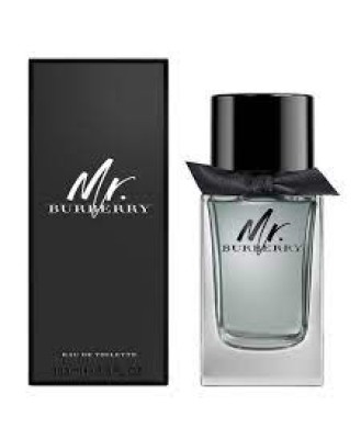 BURBERRY MR. BURBERRY EDT 100ML